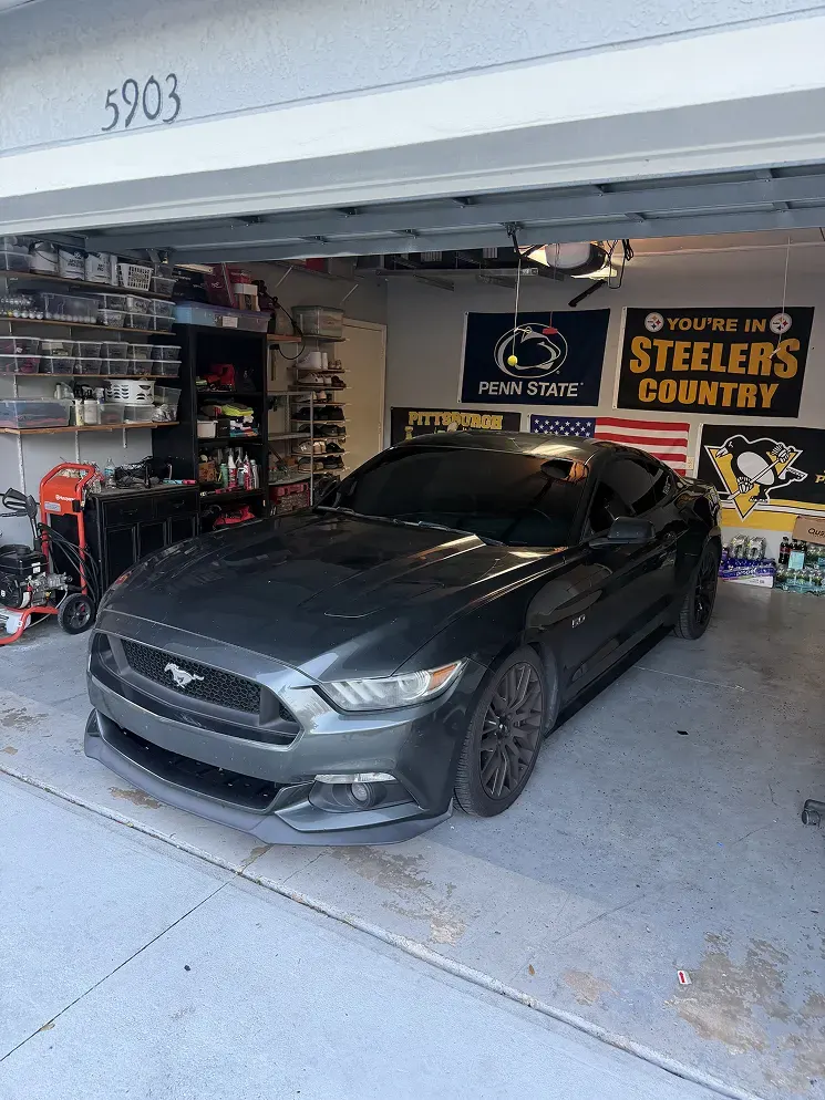 Tint Noir project 6